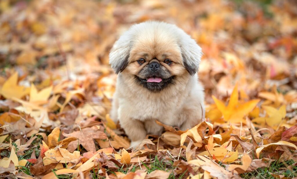 既読無視をする心理とは何か？